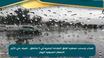 ضباب وسحب ممطرة تغلق الملاحة البحرية في 5 مناطق.. تعرف على تأثير الأمطار الصيفية اليوم